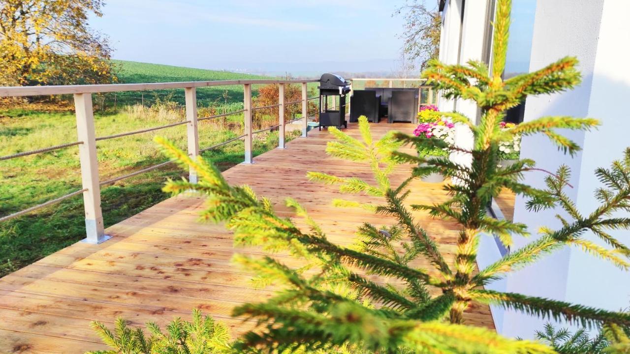 Ranch 66 - Moderni Tiny House Black Swallow Ve Stylu Route 66 Se Saunou A Bazenem Tršice المظهر الخارجي الصورة